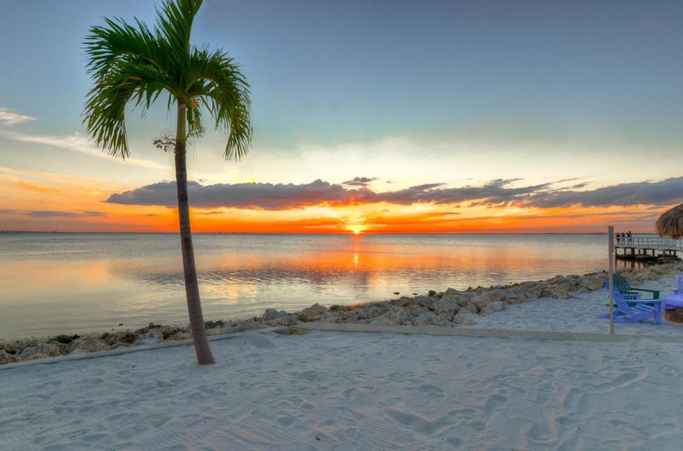 412-Amazing Views, Waterfront, Wifi, Pool, Close To Bucs Stadium Τάμπα Εξωτερικό φωτογραφία
